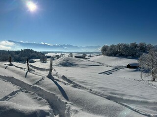 Schneelandschaft Aidlinger Höhe