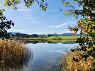 Froschhausener See