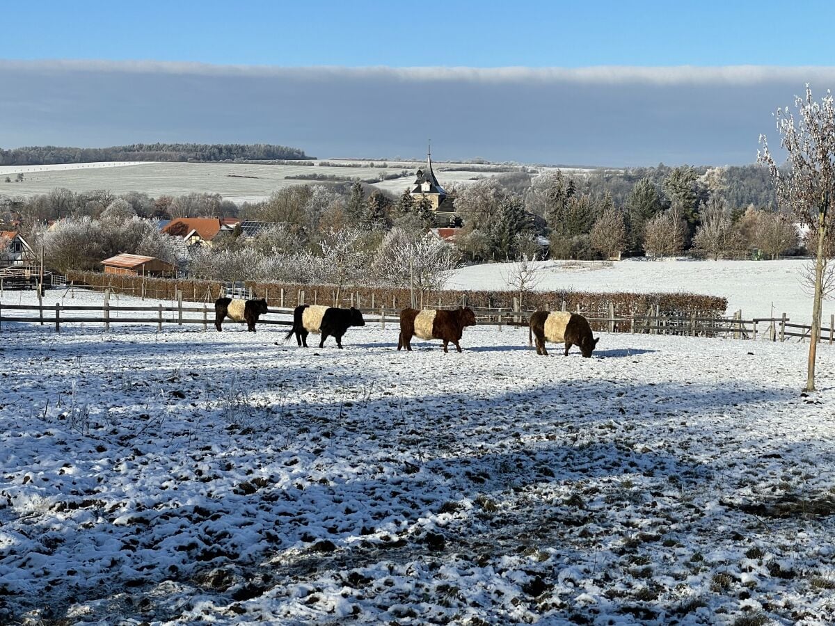 Landschaft bei Dienstedt