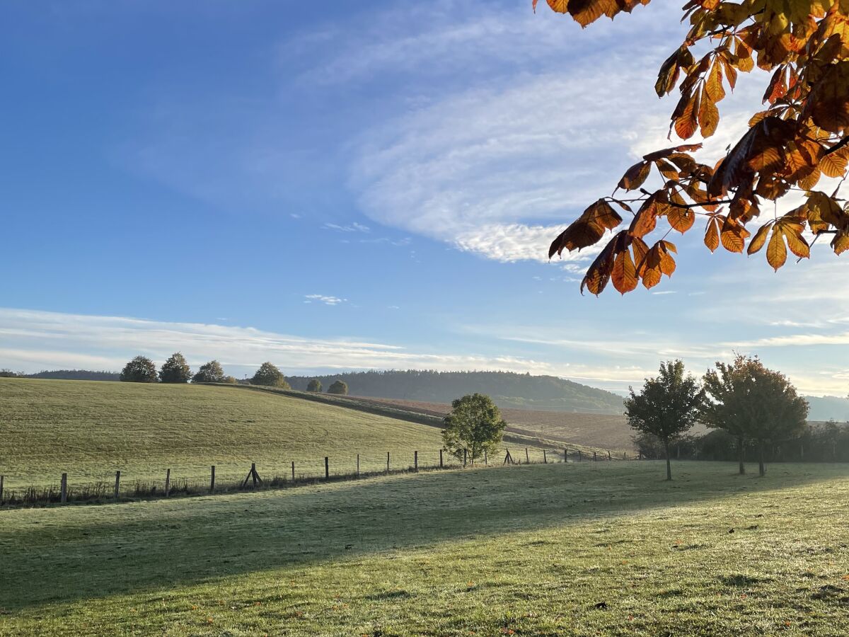 Landschaft bei Dienstedt