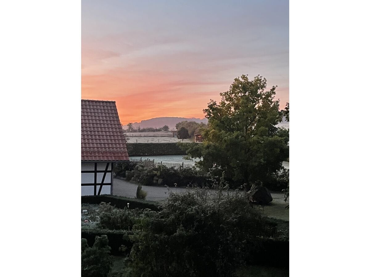 Ausblick von der Ferienwohnung