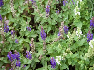 Appartamento Reith bei Kitzbühel  30