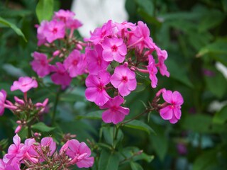 Appartamento Reith bei Kitzbühel  32