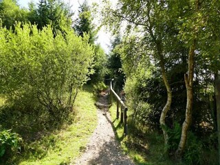 Appartement Olsberg Omgeving 24