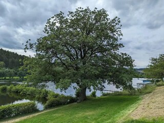 Appartement Olsberg Omgeving 15