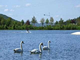 Appartement Olsberg Omgeving 33