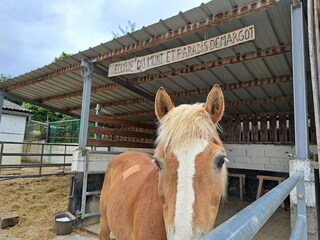 Appartamento Ettendorf (Bas-Rhin)  17