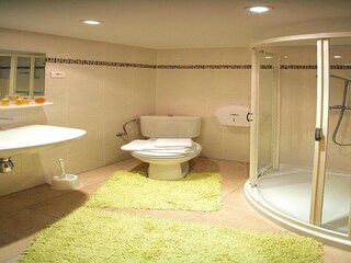 Apartamento Ettendorf (Bas-Rhin) Características 7