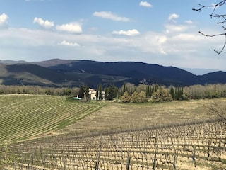 Villa Radda in Chianti Environment 19