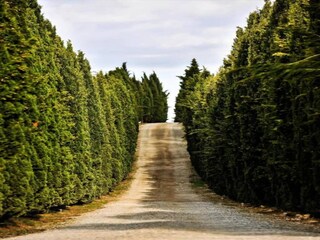 Villa Radda in Chianti Omgeving 37