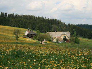 Ebenemooshof in Schwärzenbach