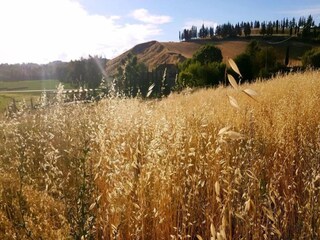 Villa Lajatico Ambiente 23