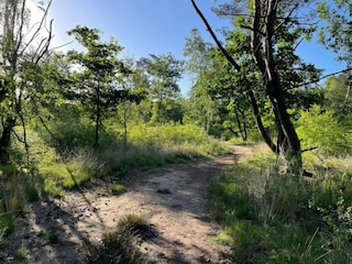 Parc de vacances Hoenderloo Environnement 17