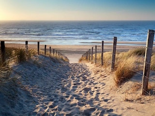 Casa de vacaciones Sant'Angelo in Vado Entorno 10