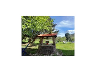 Ferienhaus Abreschviller Außenaufnahme 4