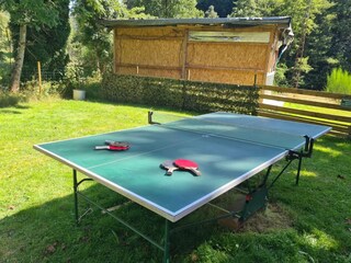 Casa per le vacanze Abreschviller  38