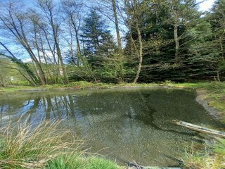 Ferienhaus Abreschviller Umgebung 34