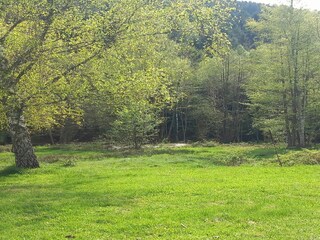 Ferienhaus Abreschviller Umgebung 28