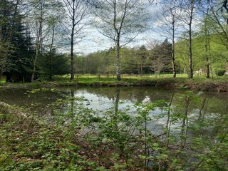 Casa per le vacanze Abreschviller Ambiente 33
