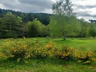 Casa de vacaciones Abreschviller Entorno 34