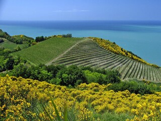 Parco vacanze Granarola Ambiente 13