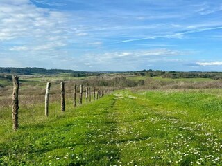 Villa Lajatico Ambiente 25