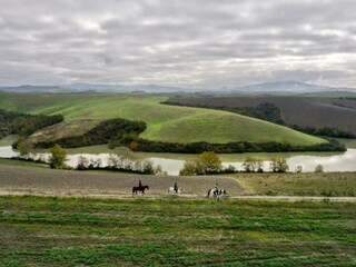 Villa Lajatico Umgebung 26