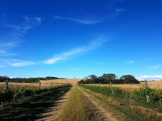 Villa Lajatico Omgeving 36