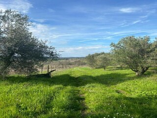 Villa Peccioli Entorno 33