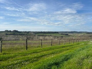 Villa Peccioli Environment 31