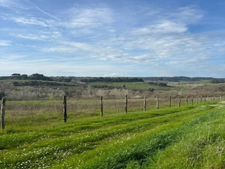 Villa Peccioli Umgebung 31