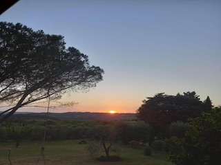 Villa Peccioli Omgeving 31