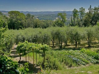 Villa Peccioli Omgeving 34