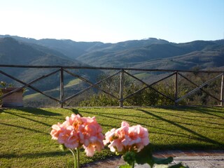 Apartamento de vacaciones Bucine Grabación al aire libre 8