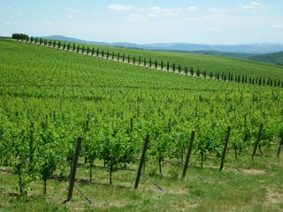 Appartamento per vacanze Bucine Ambiente 22