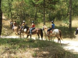 Apartamento de vacaciones Bucine Entorno 23