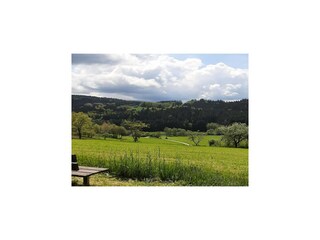 Appartement Viechtach Buitenaudio-opname 8