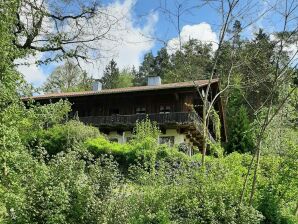 Vakantieappartement in Viechtach - Viechtach - image1