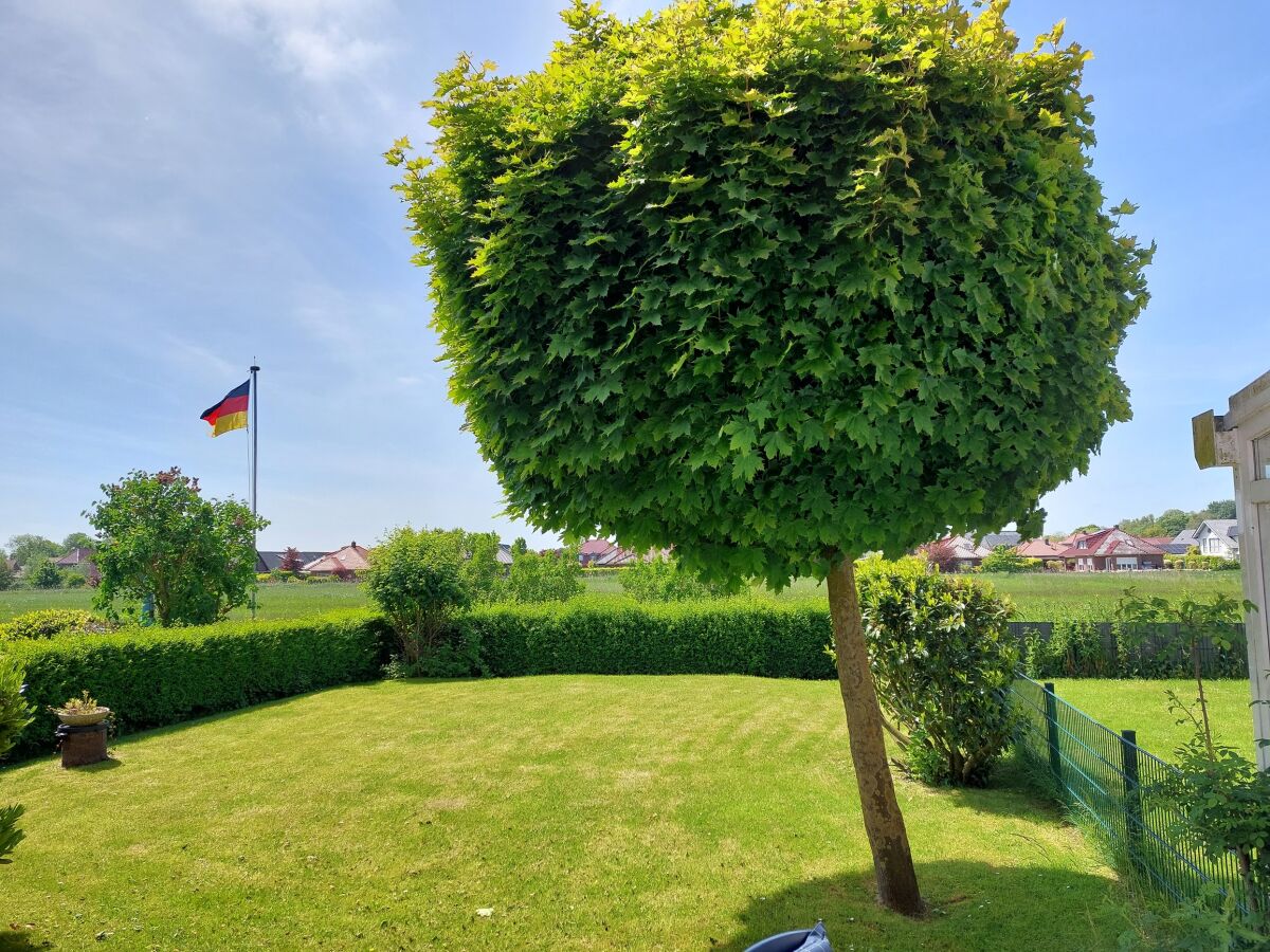 der Garten mit Blick ins Feld