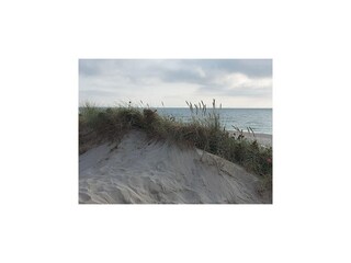 Holiday house Risum-Lindholm Environment 19