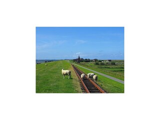 Ferienhaus Risum-Lindholm Umgebung 23