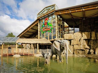 Vakantiepark Weißenhäuser Strand  28