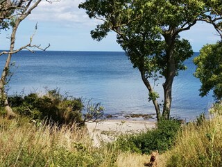 Blick auf das Meer