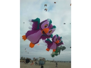 Drachenfest am Südstrand
