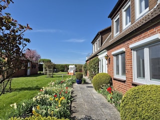 Blick in den Garten