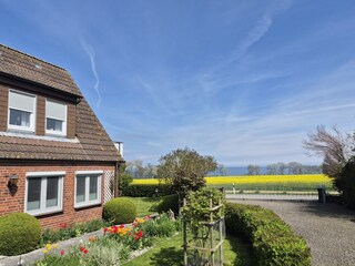 Blick vom Garten auf das Meer