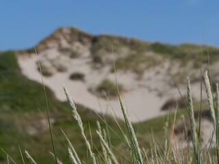 Appartamento per vacanze Julianadorp Ambiente 32