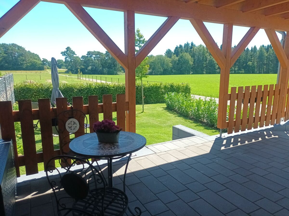 Blick Terrasse _Garten