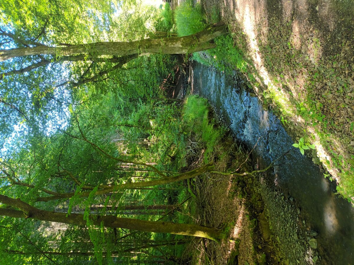 Wandern im Armunsbachtal