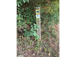 158e284b-27a8-4bae-87a5-70489ed54d2b.jpeg-1